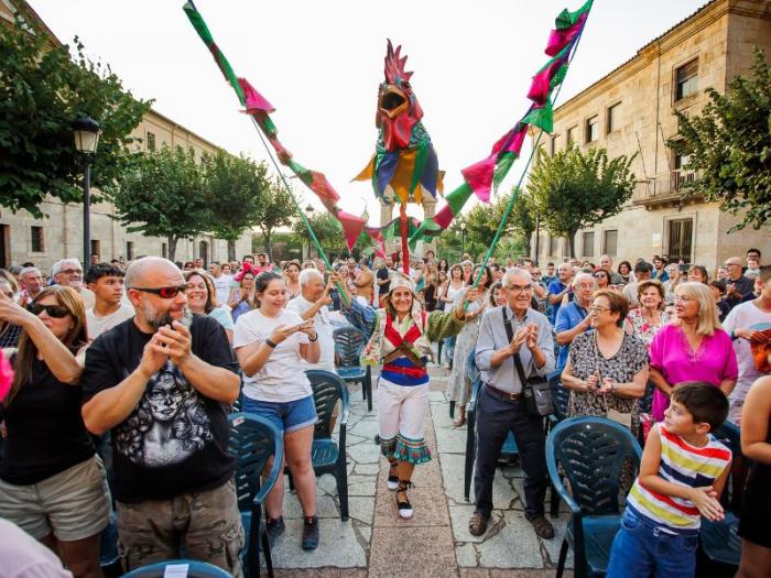 Gallo Quirico foto Jose Vicente 